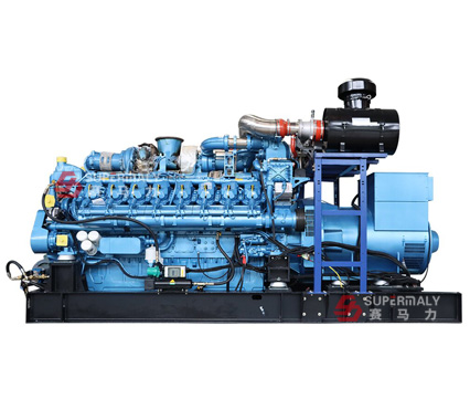 1000KW Grupo electrógeno a Gas con Motor de Weichai